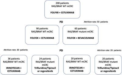 Efficacy and safety of a biomarker-driven cetuximab-based treatment regimen over 3 treatment lines in mCRC patients with RAS/BRAF wild type tumors at start of first line: The CAPRI 2 GOIM trial